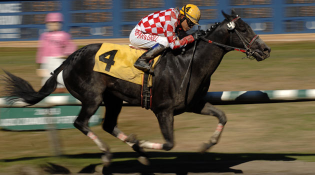 Singapore’s richest horse race draws Chinese elite