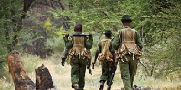Exposed: Corruption At The Kenya Wildlife Service