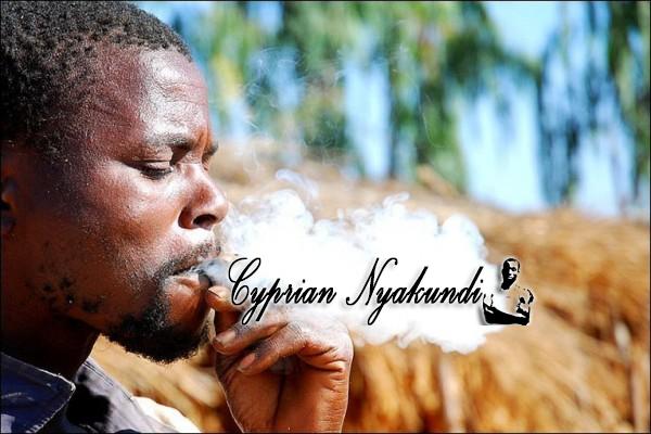 The World Health Organization Suggests The Removal Of Marijuana From The List Of Harmful Drugs