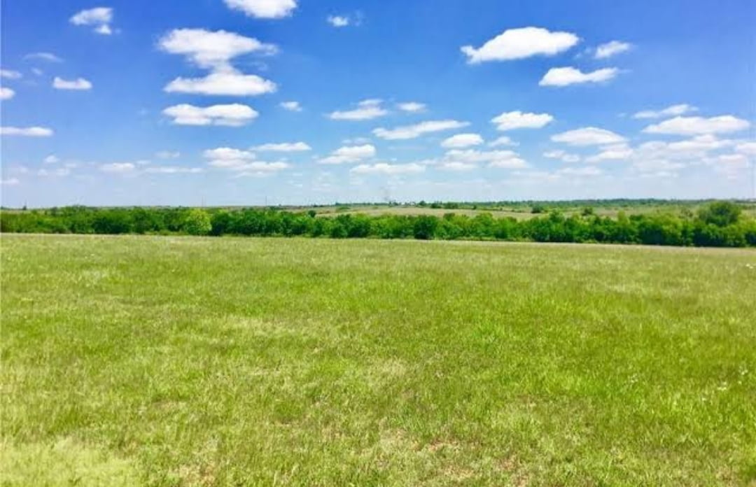 Syokimau Land Grab: Cartels Used DCI Detectives; Courts To Intimidate Damaris (Part 3)