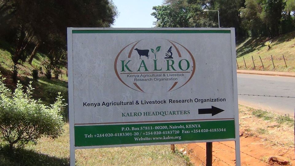 KARI responds to website showing p0rn