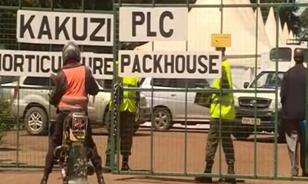 Kakuzi seeking out of court settlement with rape victims