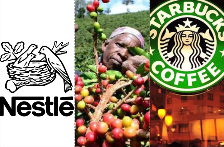 Coffee Cartels raise Ksh15 million bribery kitty to fight coffee reforms