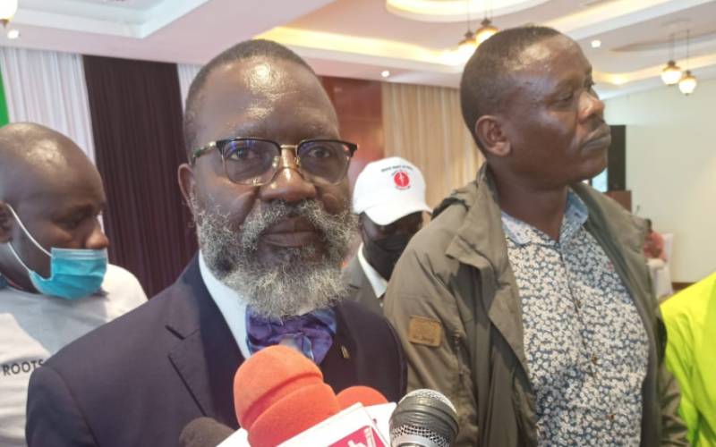 Inside Prof George Wajackoyah's 8-Point Manifesto