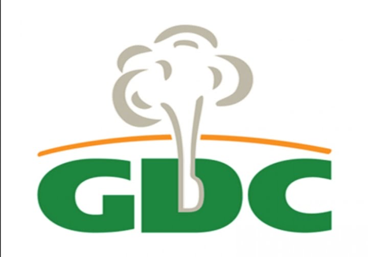 GDC failed to do proper due diligence; gave away contract worth billions