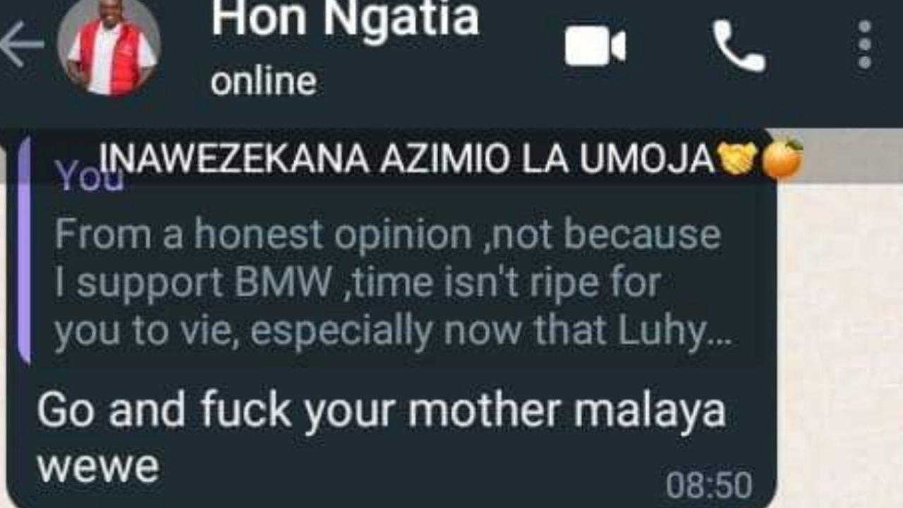 SCREENSHOTS: KEMSA Millionaire Richard Ngatia Abuses Voter's Mother