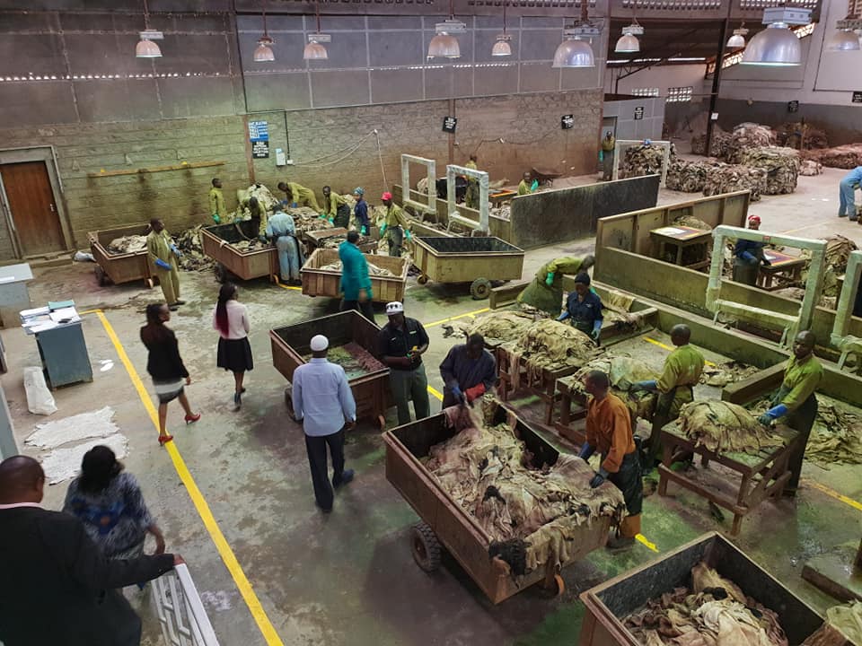 EX STAFFER: Rogue Leather Giant 'Alpharama' Harboring Foreign Tax-Evading Supervisors