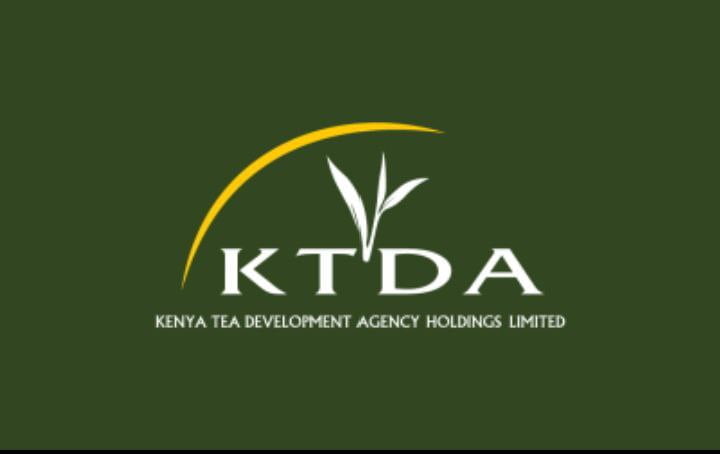 Courts must move to protect Tea sector reforms; put Kennedy Omanga, other ousted directors behind bars