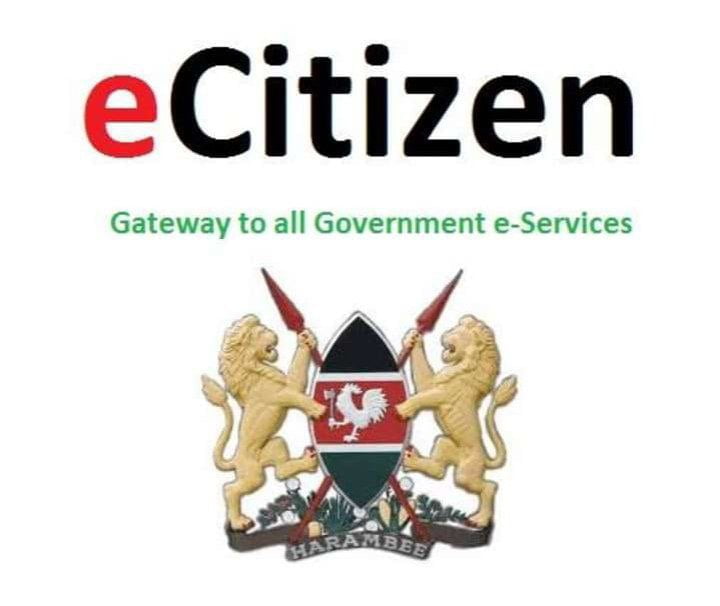 Shadowy Goldrock Capital at the center of e-Citizen’s looting