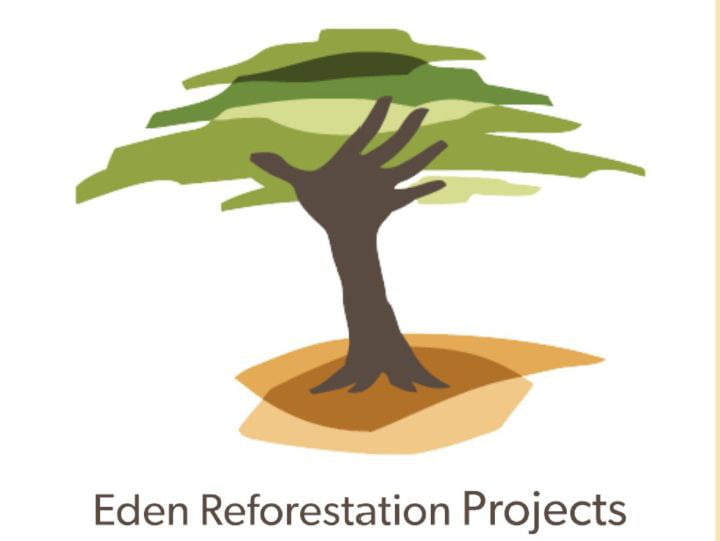 Eden Reforestation Projects accused of financial mismanagement, harboring a fugitive