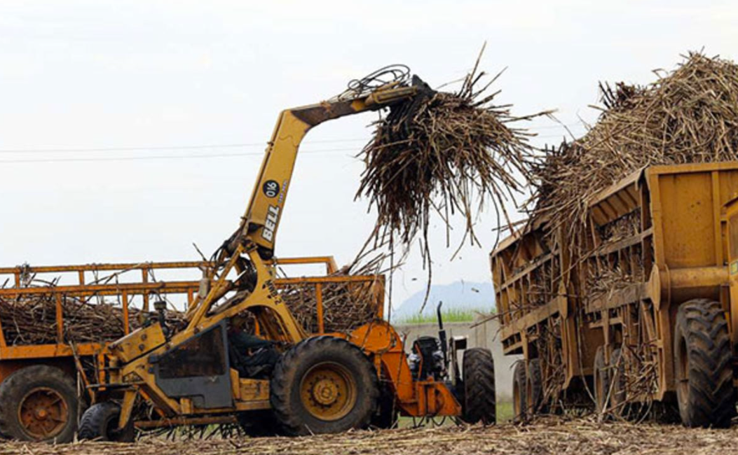 Farmers Cry Foul as Sugar Mills Scandalously Leased to Powerful Outsiders