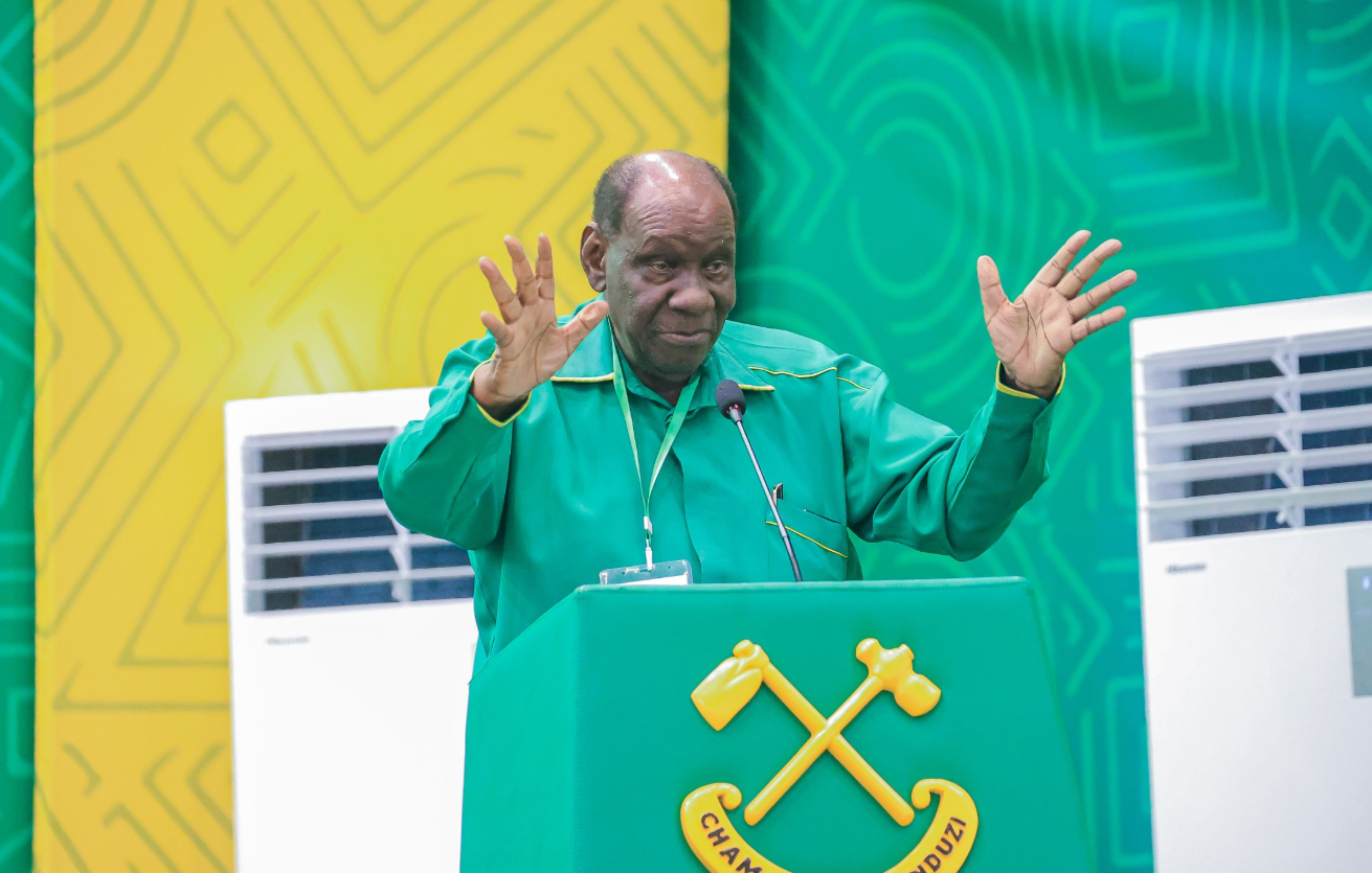 CCM Vice-Chair Stephen Wasira Warns Martha Karua to Stop Poking Her Nose in Tanzania's Politics