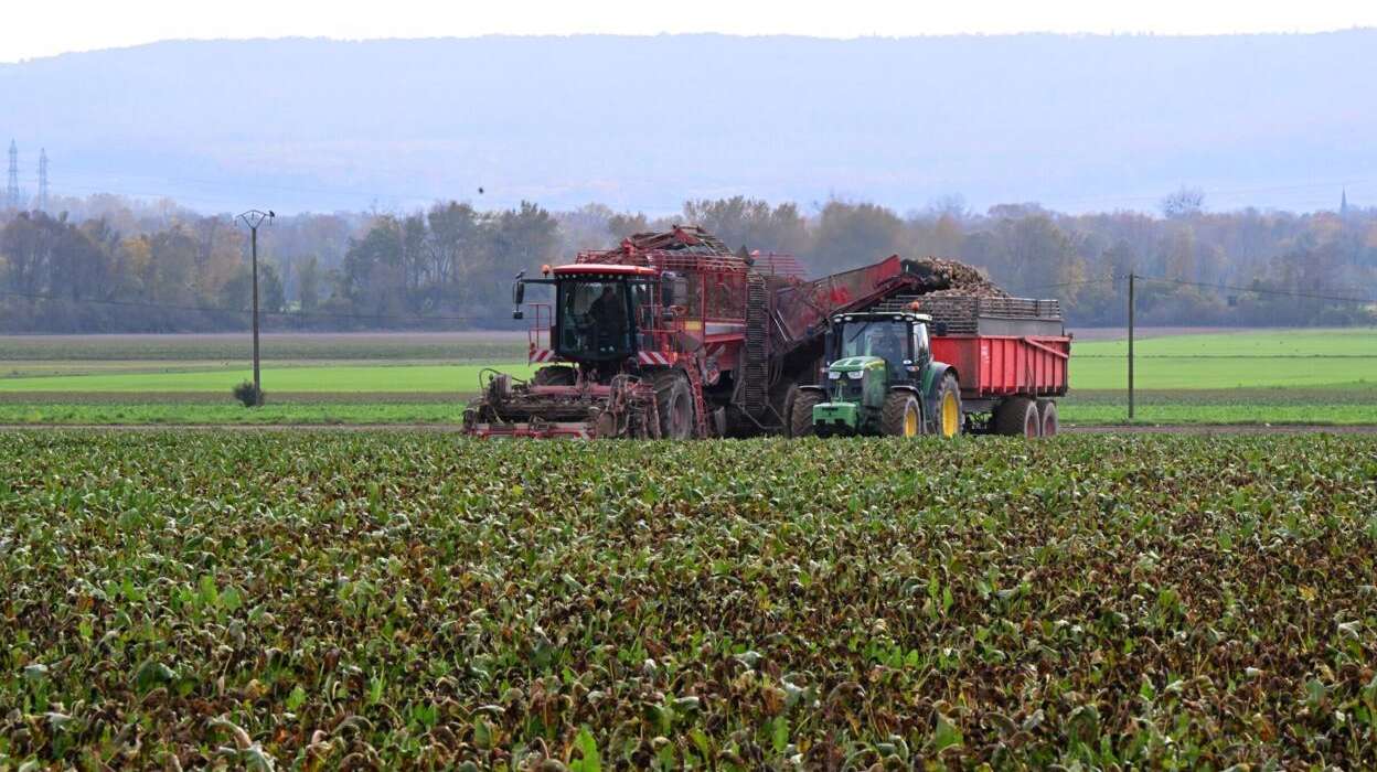 With the EU set to tax Russian fertilizers, many farmers face the tough prospect of soaring input costs, raising concerns about the future of food production and prices.