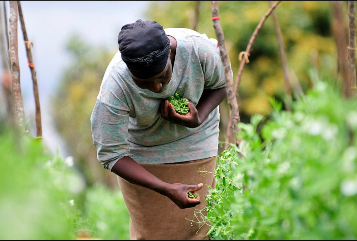 Agribusiness