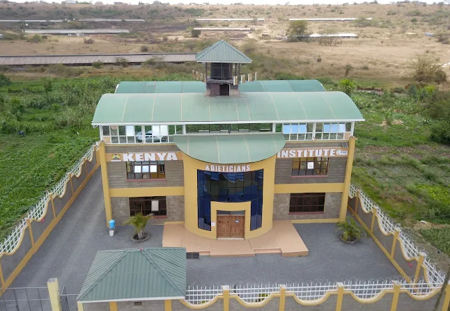 KNDI faces criticism as Nutrition and Dietetics graduates cite high fees, poor job prospects, and lack of visible support in the health sector.