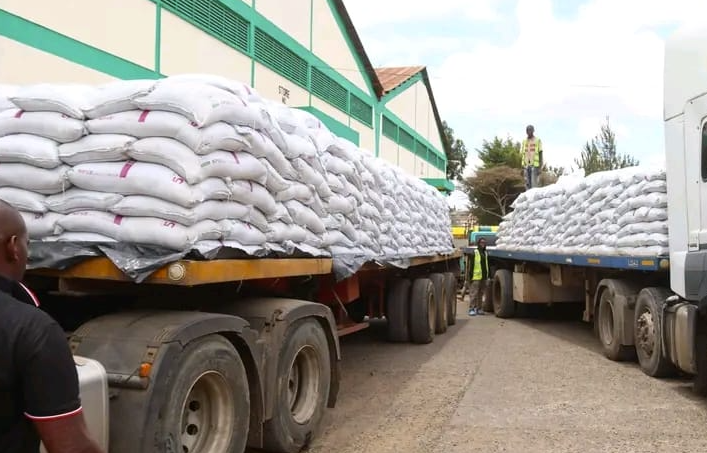 Widespread malpractice in NCPB depots exposes systemic fertilizer diversion, fuelling black market sales and crippling access for legitimate small-scale farmers.