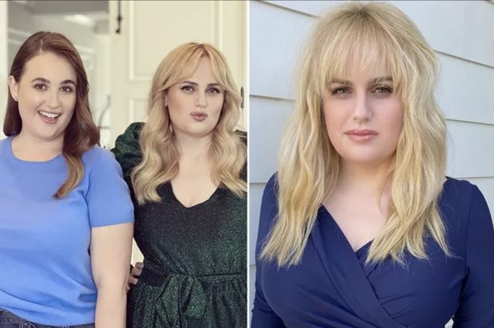 Rebel Wilson Siblings