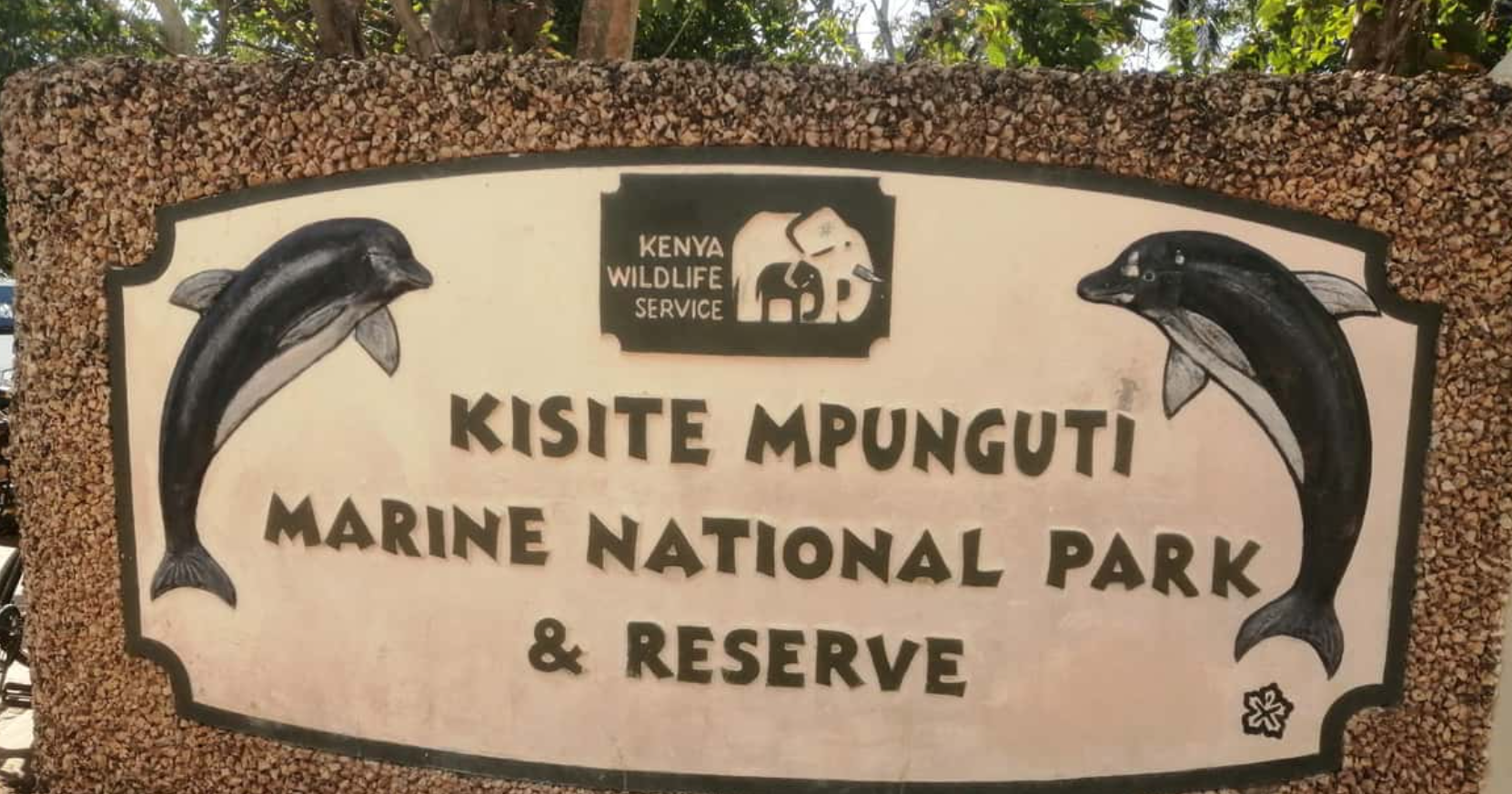 Discover the Beauty of Kisite Mpunguti Marine National Park and Reserve Entry Fees