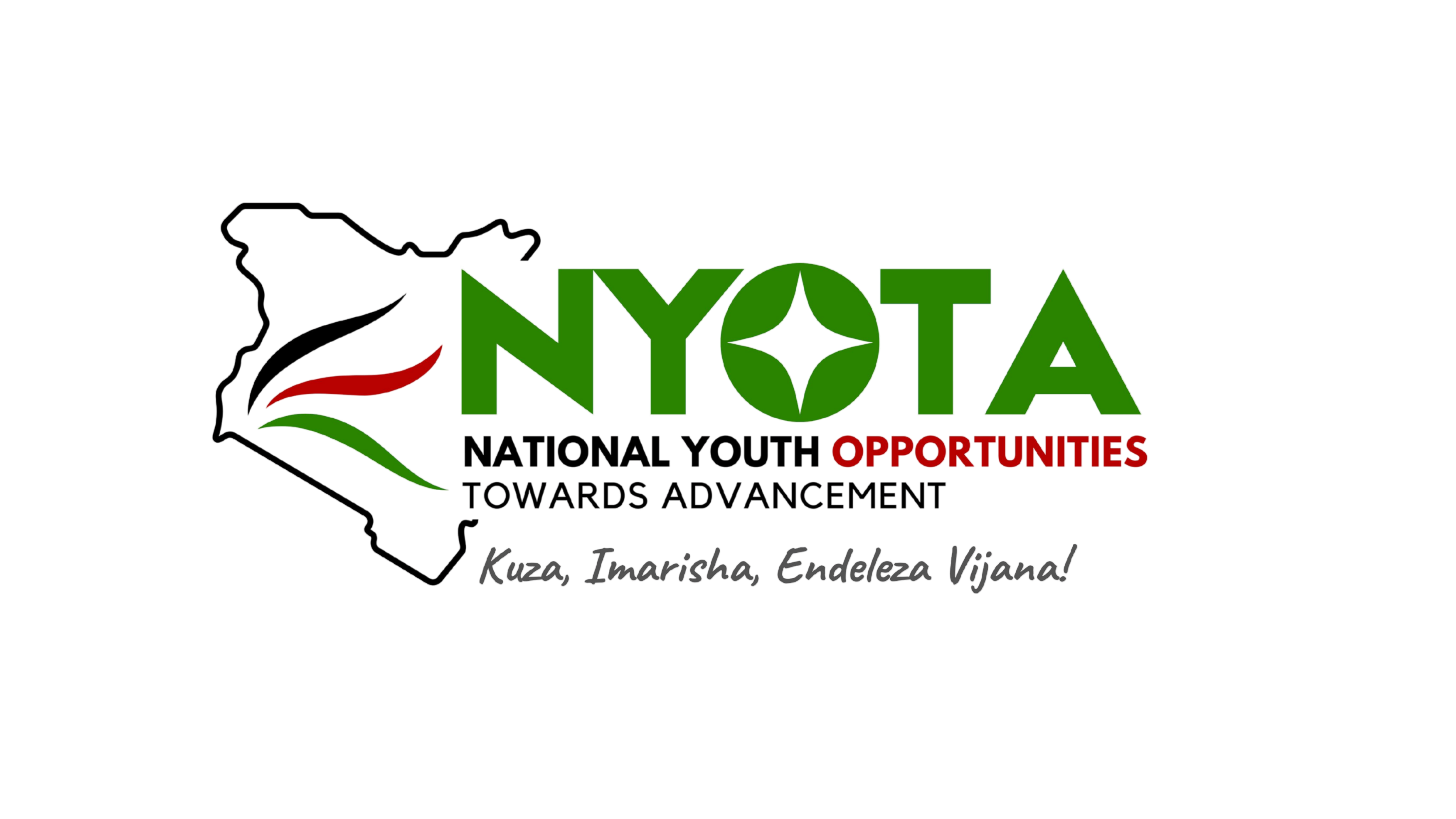 How to Apply for the Nyota Fund Youth Grant and Training Project