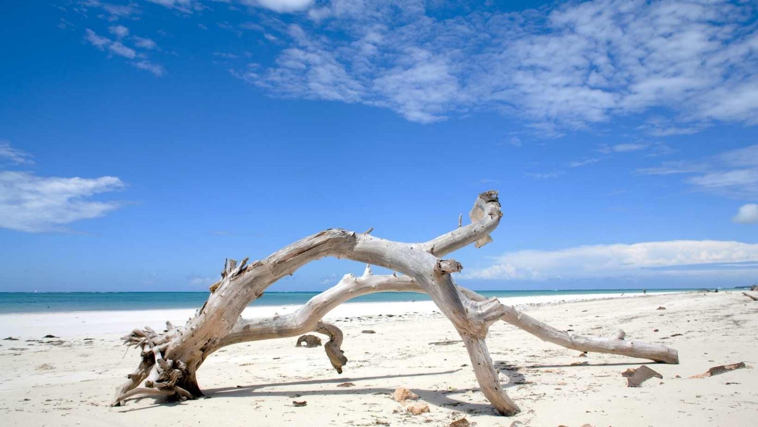 Understanding Diani-Chale Marine Reserve Entrance Fees