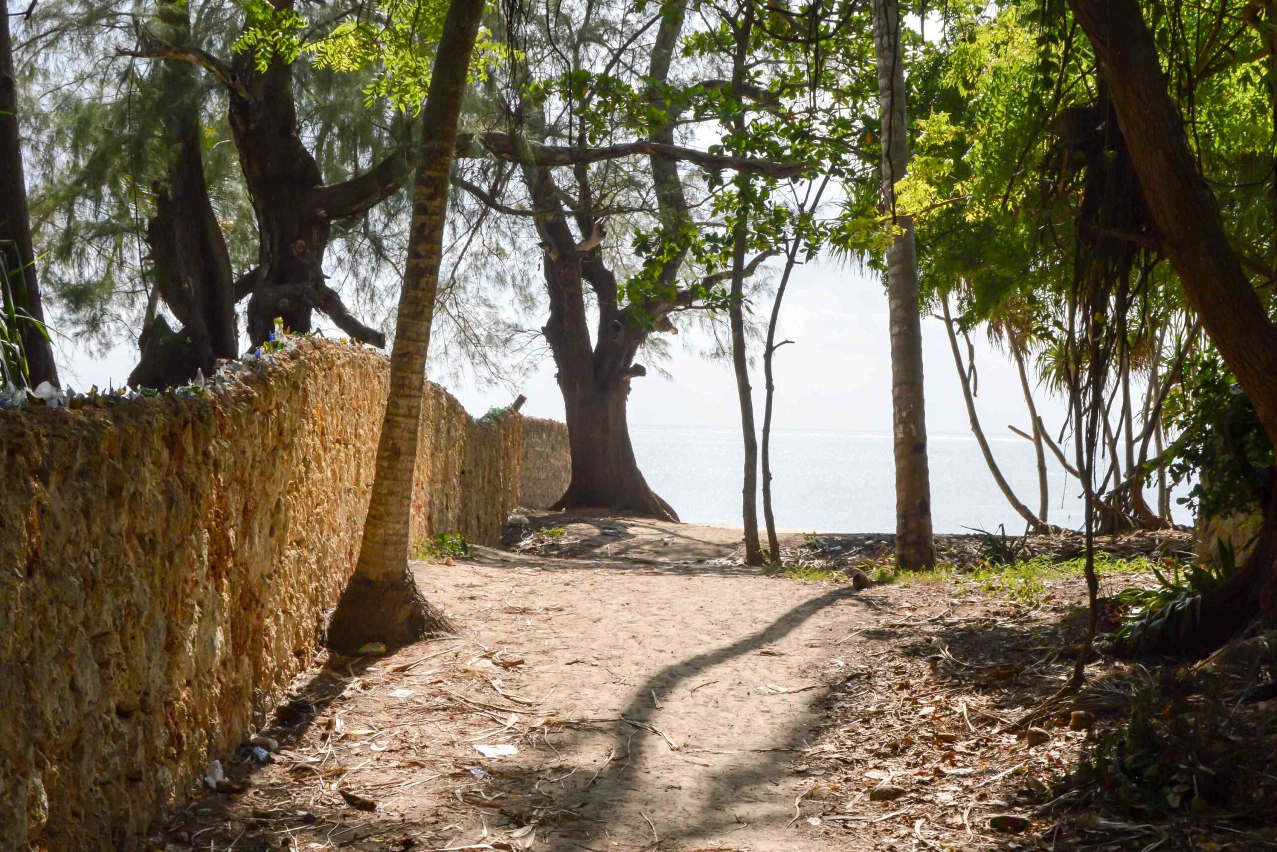 Guide to Bamburi Forest Trails Entrance Fees