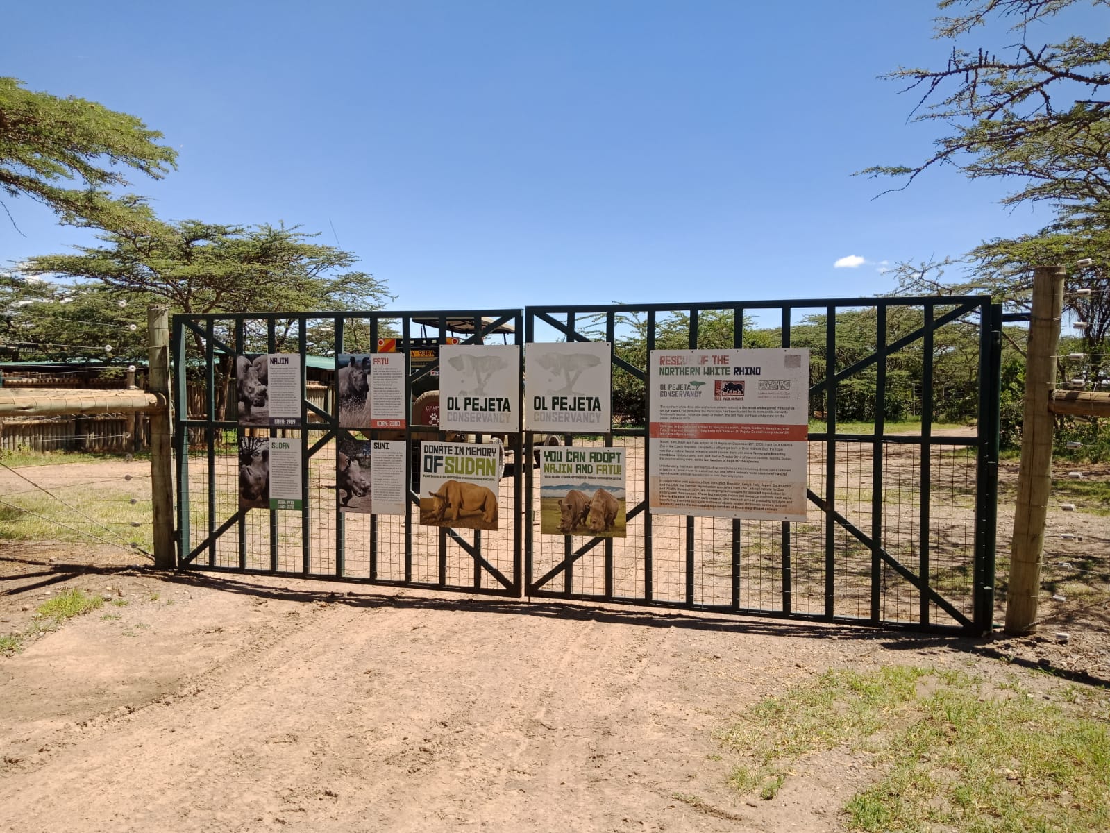 Discover the Beauty of Ol Pejeta Conservancy and Its Entrance Fees