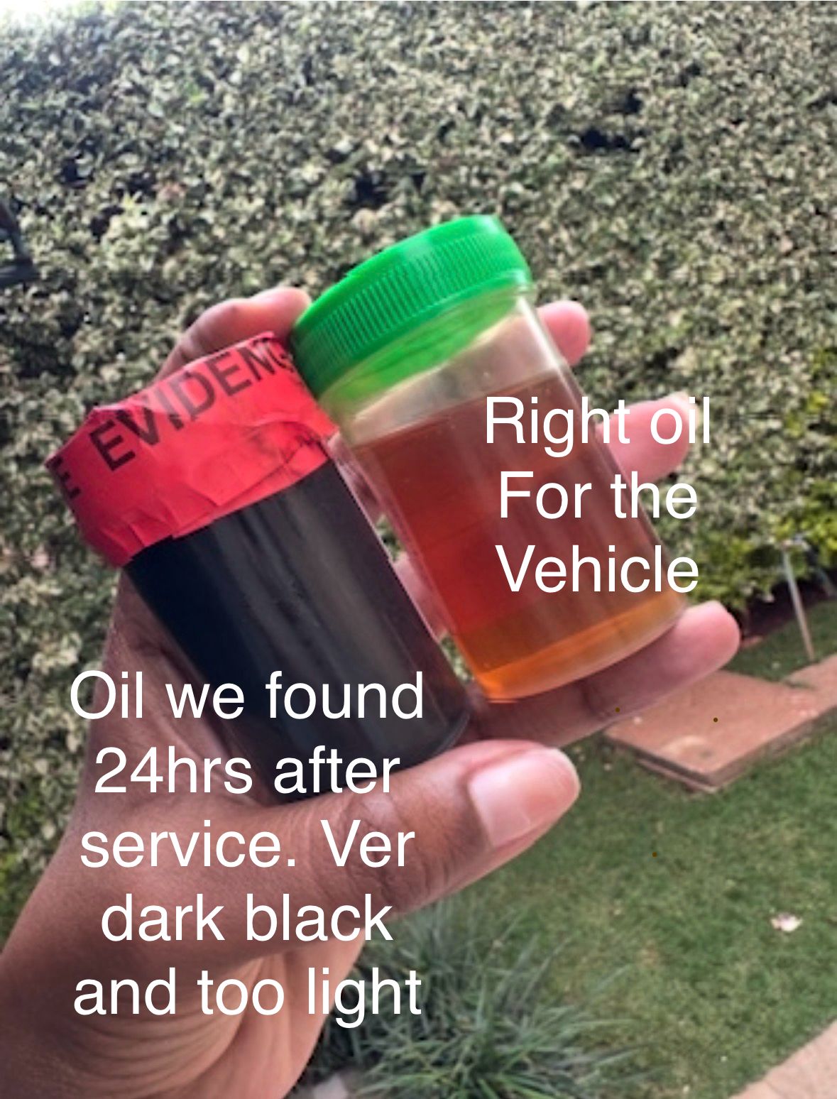 Evidence of the oil used in the vehicle, collected 24 hours after service, showing it was unusually dark and too light, raising concerns about improper servicing.