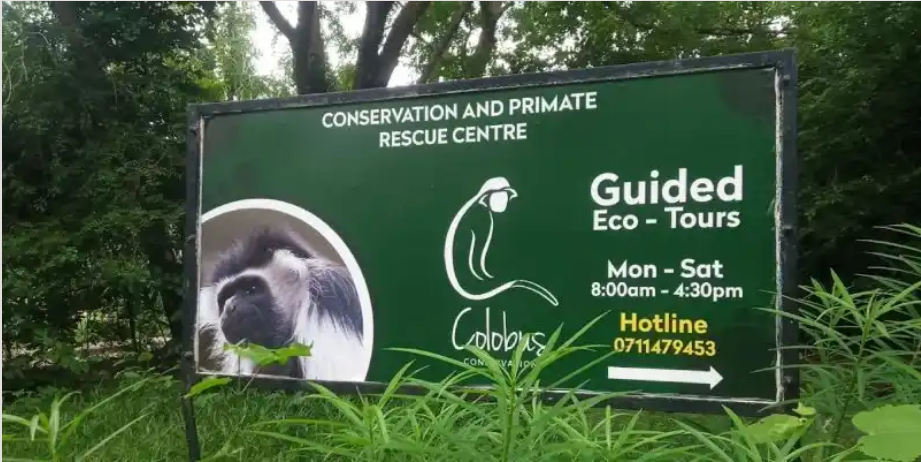 Understanding Colobus Conservation Diani Entrance Fees