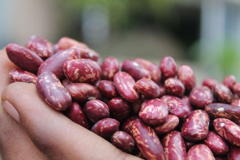 Step by Step Guide on How To Cook Red Speckled Beans