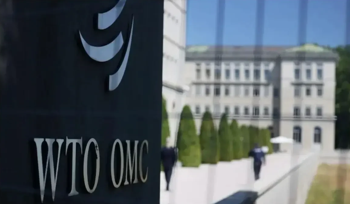 WTO Slashes 2026 Trade Outlook After 2025 Surge