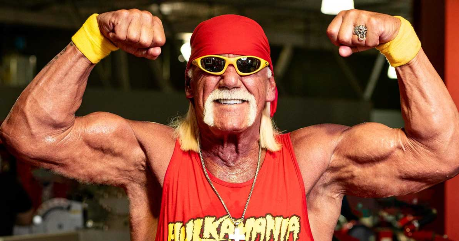 Hulk Hogan Net Worth