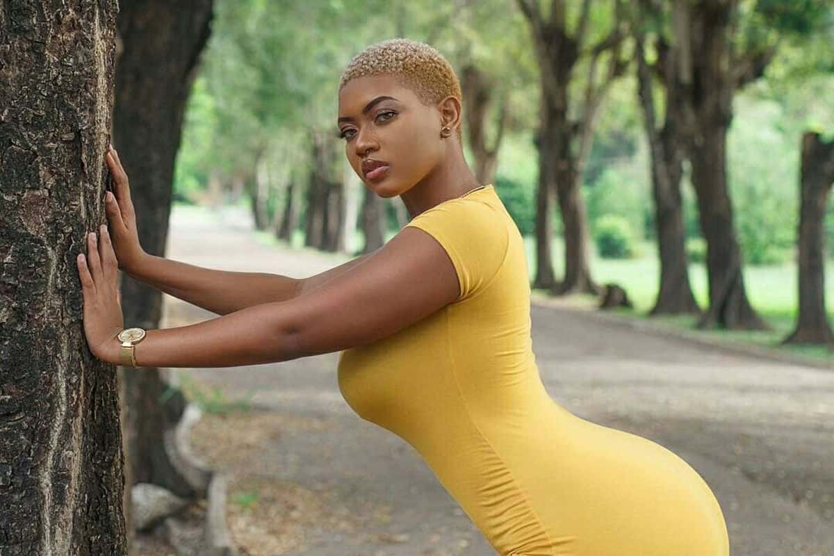 Inside Jada Kingdom Net Worth and Her Rise to Global Dancehall Power