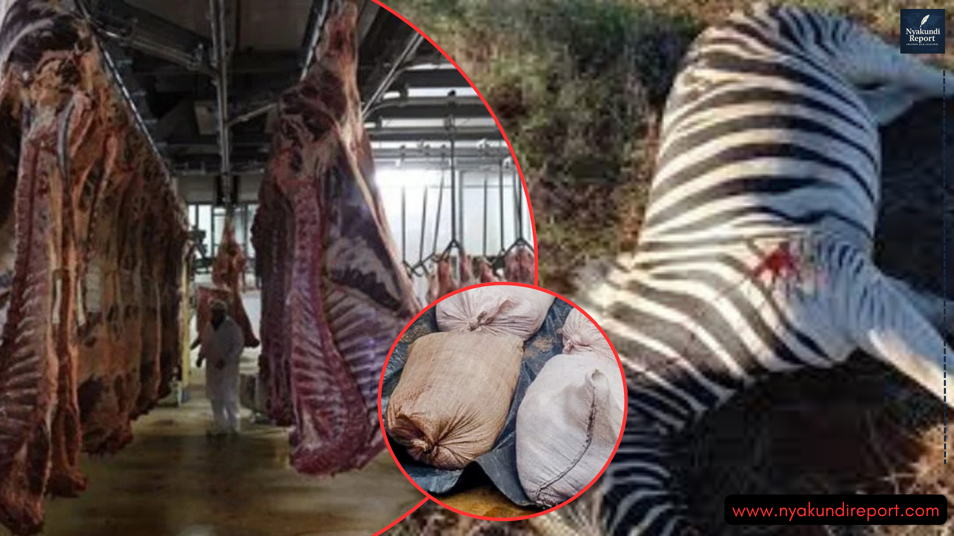 Illegal Zebra Meat Operation Busted Inside Kiambu Apartment as Police Seize Over One Tonne